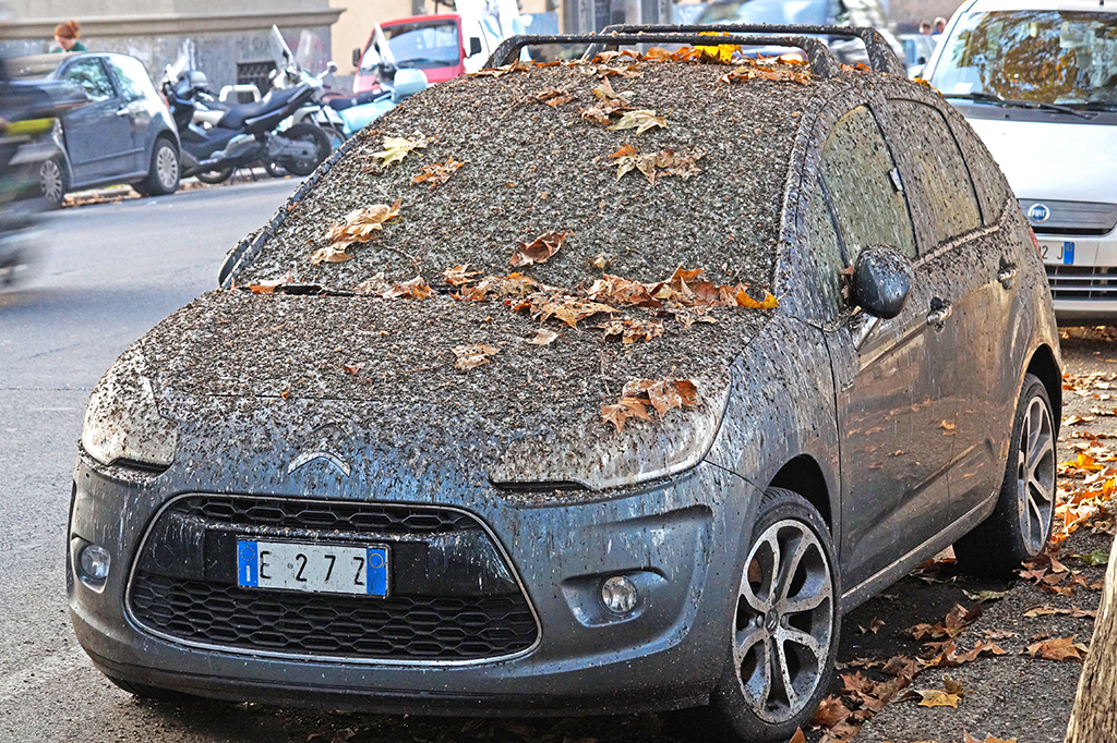 Citroën with bird poop