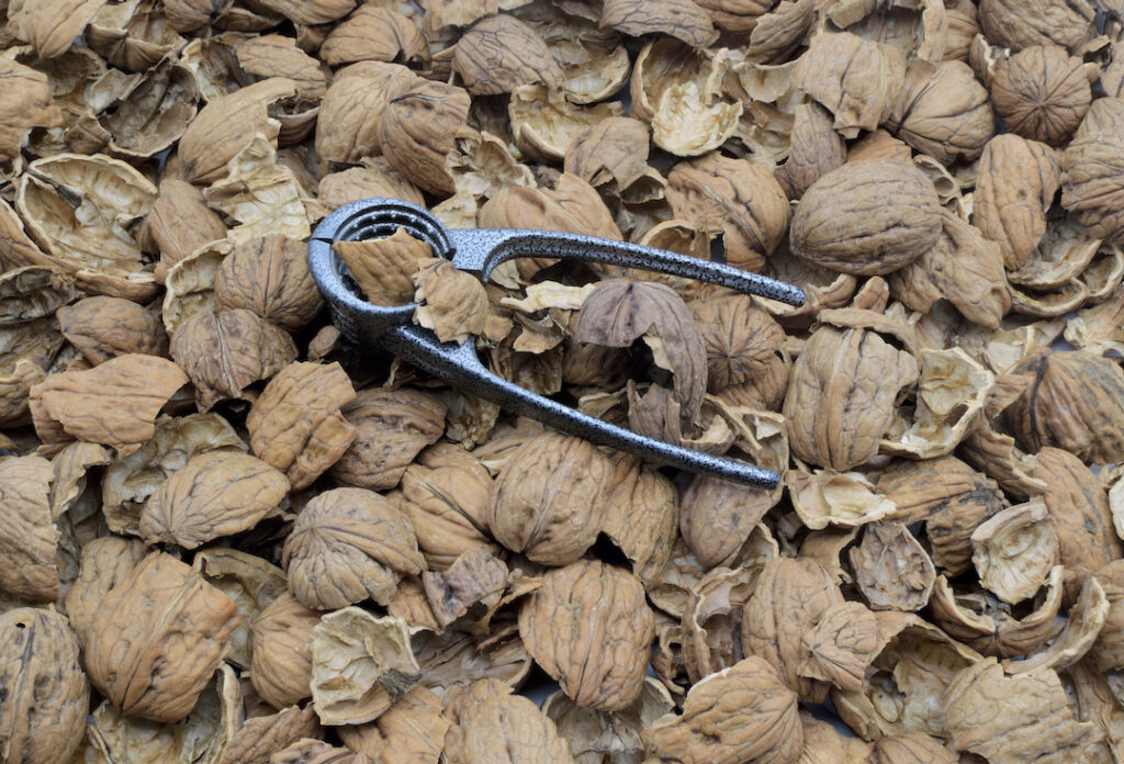 Walnut Shells For Sandblasting